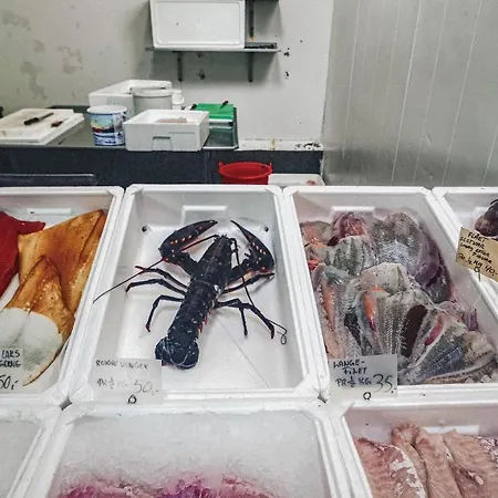 Beautiful In With Kitchen Vakantiehuis *